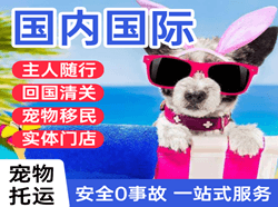 临汾机场邮寄国际宠物托运 【国
